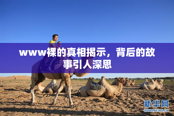 www裸的真相揭示，背后的故事引人深思