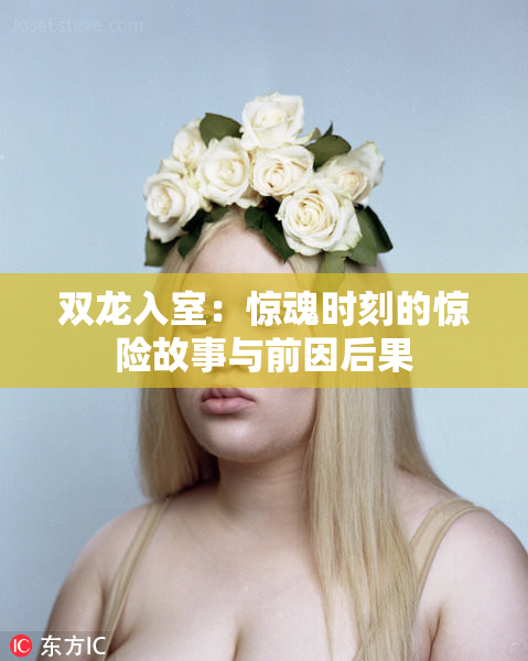 双龙入室：惊魂时刻的惊险故事与前因后果