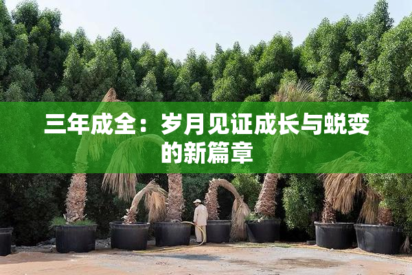 三年成全：岁月见证成长与蜕变的新篇章