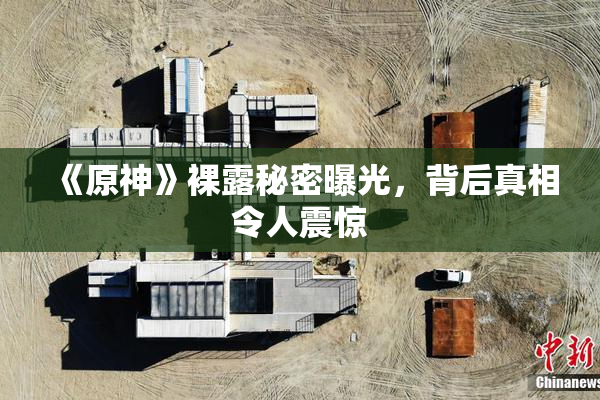 《原神》裸露秘密曝光，背后真相令人震惊