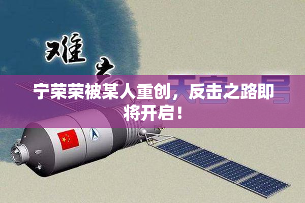 宁荣荣被某人重创，反击之路即将开启！