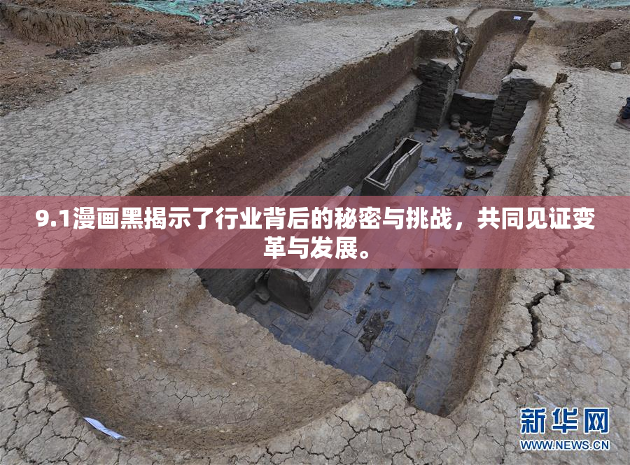 9.1漫画黑揭示了行业背后的秘密与挑战，共同见证变革与发展。