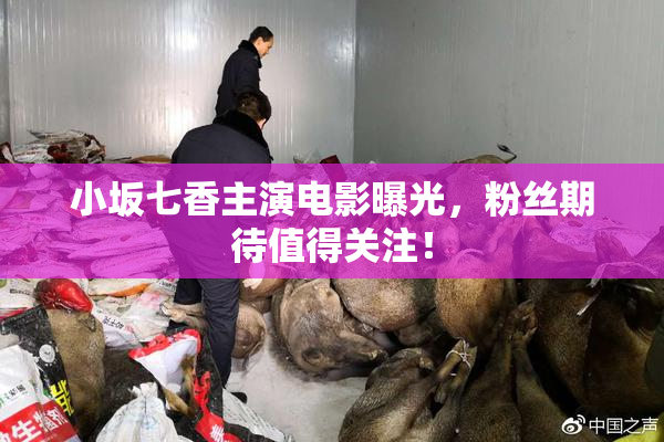 小坂七香主演电影曝光，粉丝期待值得关注！