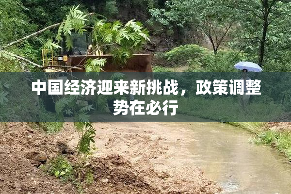 中国经济迎来新挑战，政策调整势在必行