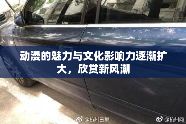 动漫的魅力与文化影响力逐渐扩大，欣赏新风潮