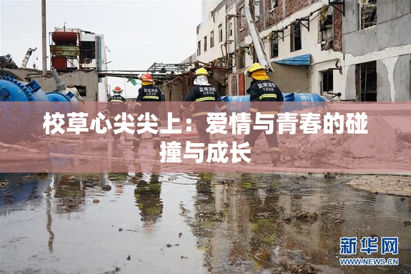 校草心尖尖上：爱情与青春的碰撞与成长