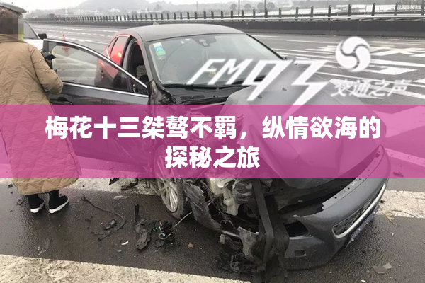 梅花十三桀骜不羁，纵情欲海的探秘之旅