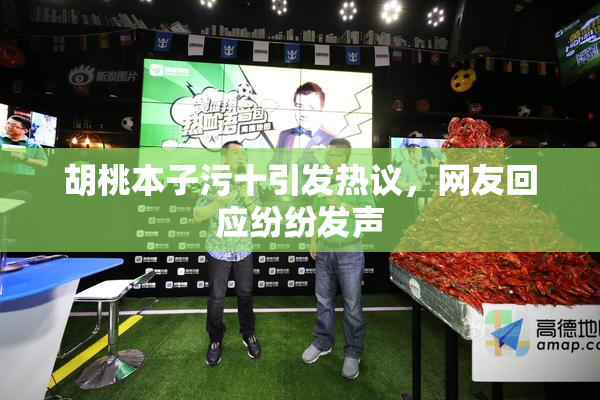 胡桃本子污十引发热议，网友回应纷纷发声