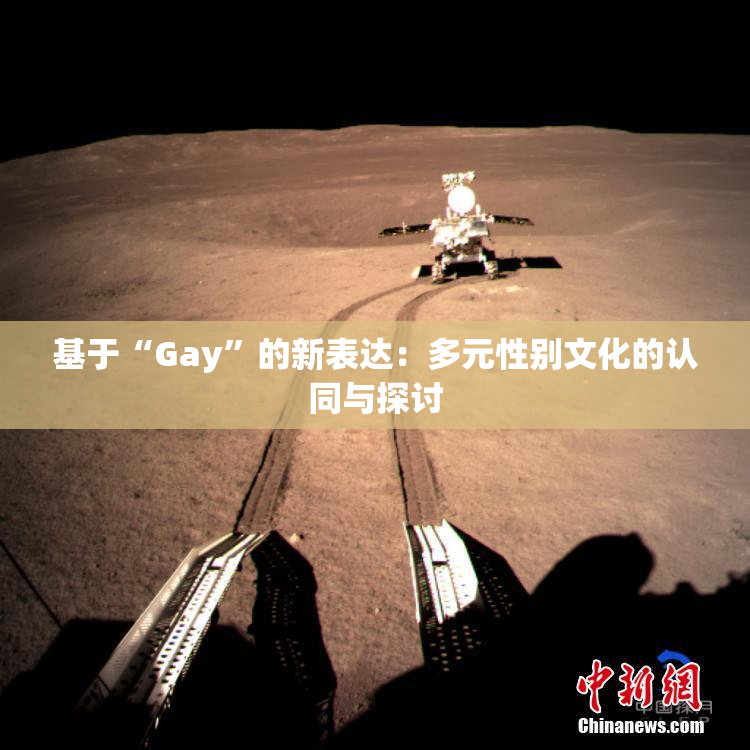 基于“Gay”的新表达：多元性别文化的认同与探讨