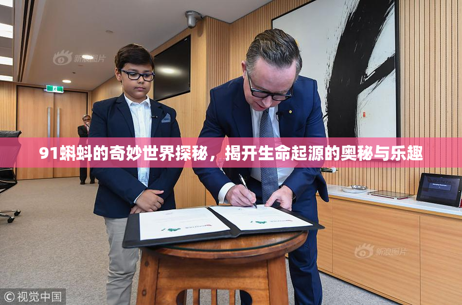 91蝌蚪的奇妙世界探秘，揭开生命起源的奥秘与乐趣