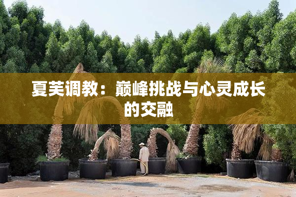 夏芙调教：巅峰挑战与心灵成长的交融
