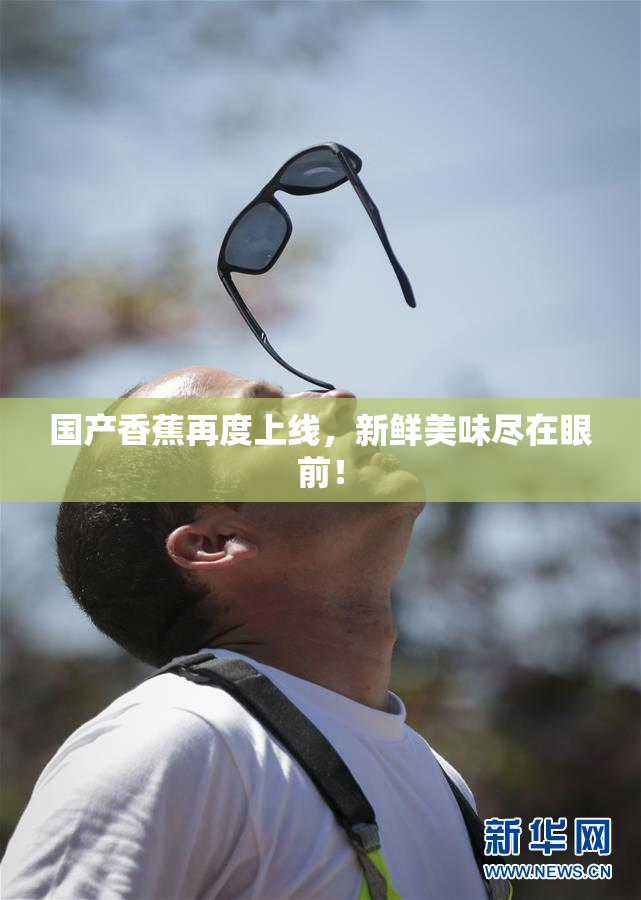 国产香蕉再度上线，新鲜美味尽在眼前！