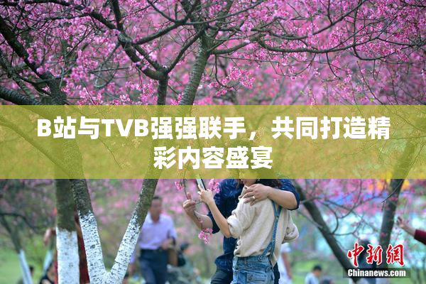 B站与TVB强强联手，共同打造精彩内容盛宴