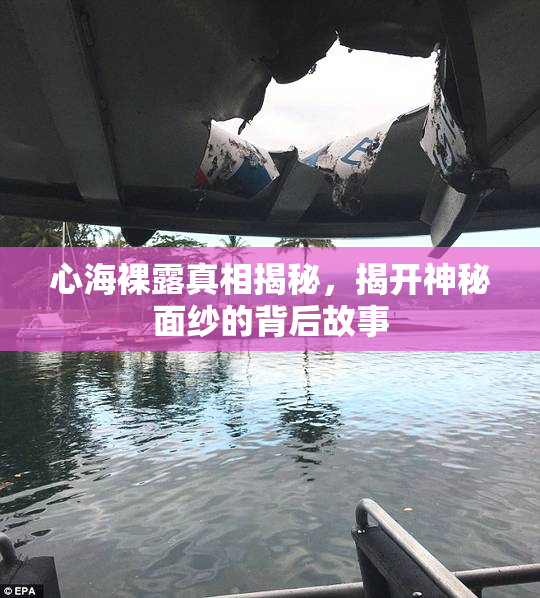 心海裸露真相揭秘，揭开神秘面纱的背后故事