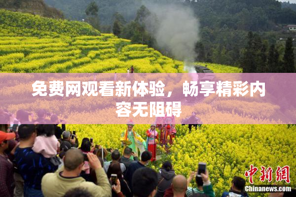 免费网观看新体验，畅享精彩内容无阻碍