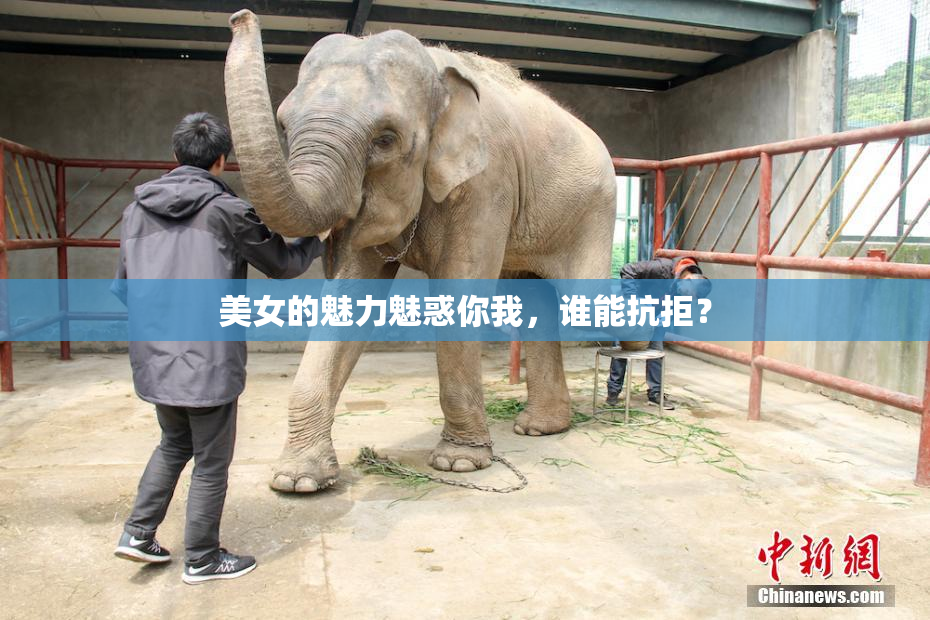 美女的魅力魅惑你我，谁能抗拒？