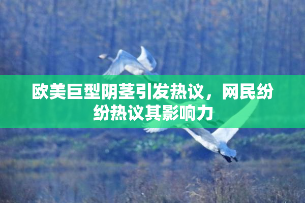 欧美巨型阴茎引发热议，网民纷纷热议其影响力