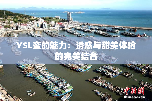 YSL蜜的魅力：诱惑与甜美体验的完美结合
