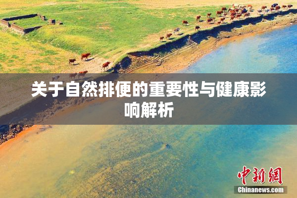 关于自然排便的重要性与健康影响解析