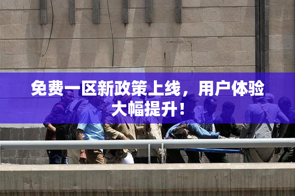 免费一区新政策上线，用户体验大幅提升！