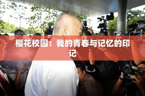 樱花校园：我的青春与记忆的印记