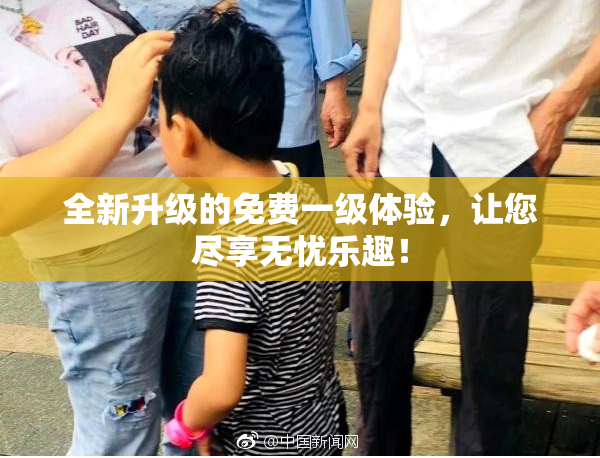 全新升级的免费一级体验，让您尽享无忧乐趣！