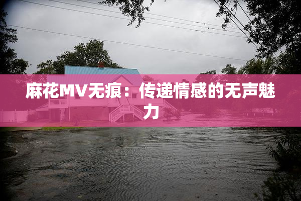 麻花MV无痕：传递情感的无声魅力