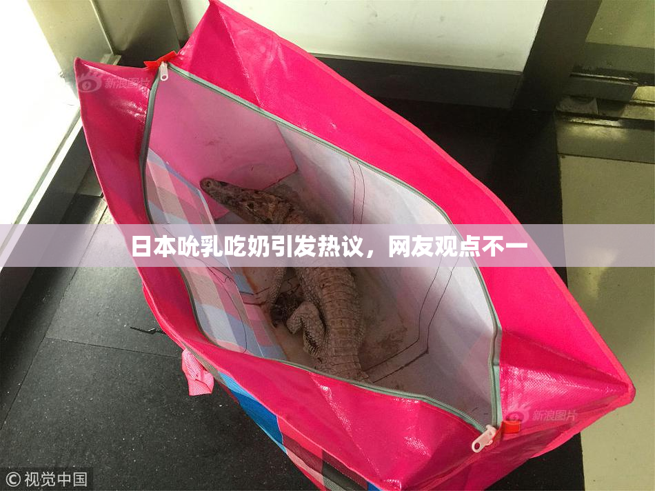 日本吮乳吃奶引发热议，网友观点不一