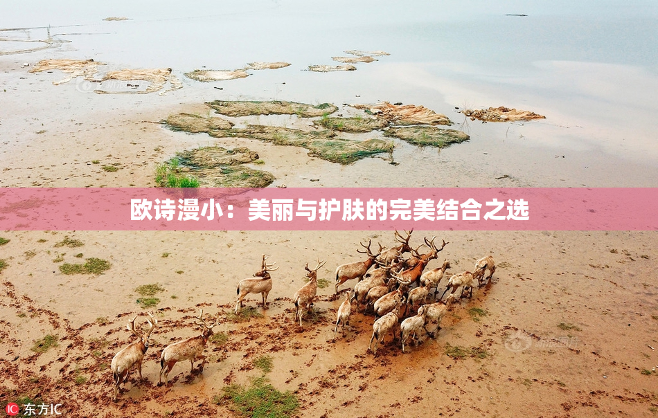 欧诗漫小：美丽与护肤的完美结合之选