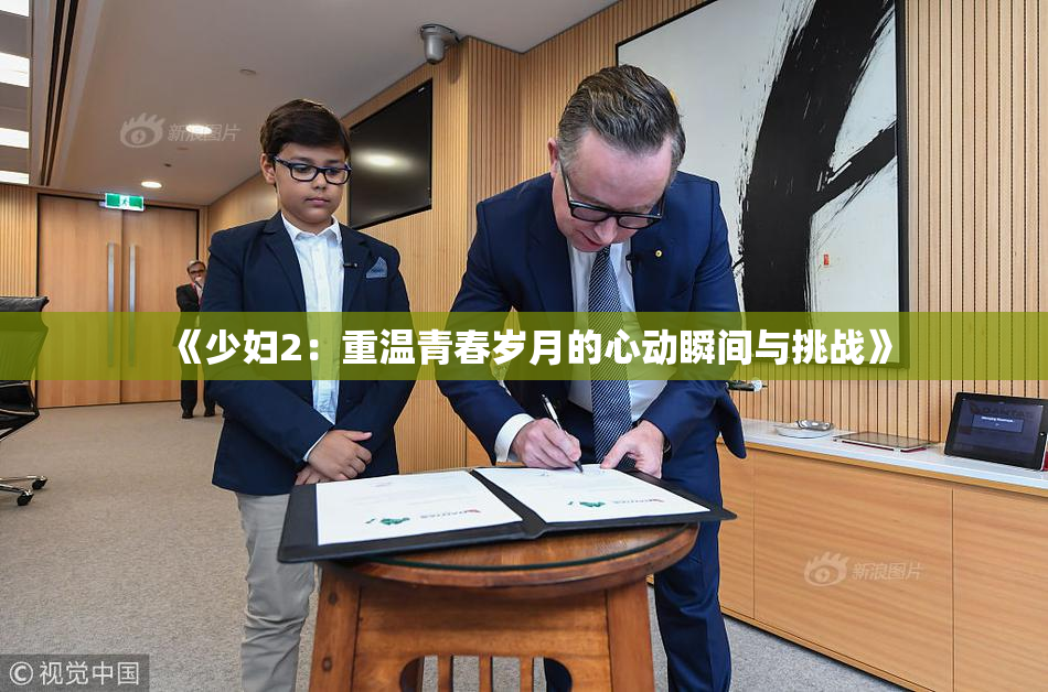 《少妇2：重温青春岁月的心动瞬间与挑战》