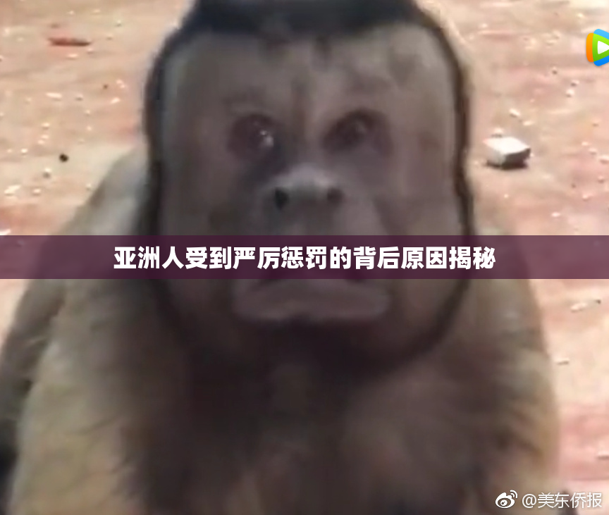 亚洲人受到严厉惩罚的背后原因揭秘