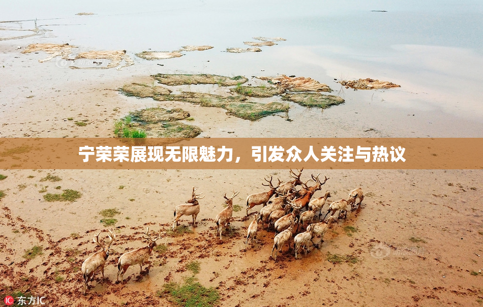 宁荣荣展现无限魅力，引发众人关注与热议