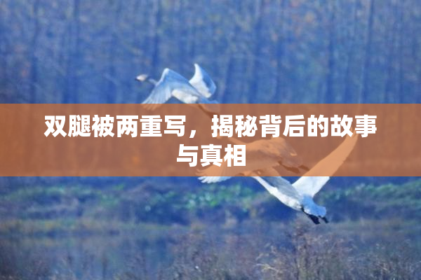 双腿被两重写，揭秘背后的故事与真相