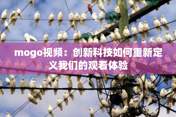 mogo视频：创新科技如何重新定义我们的观看体验