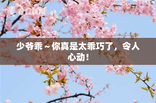 少爷乖～你真是太乖巧了，令人心动！