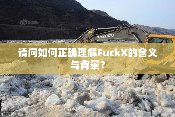 请问如何正确理解FuckX的含义与背景？