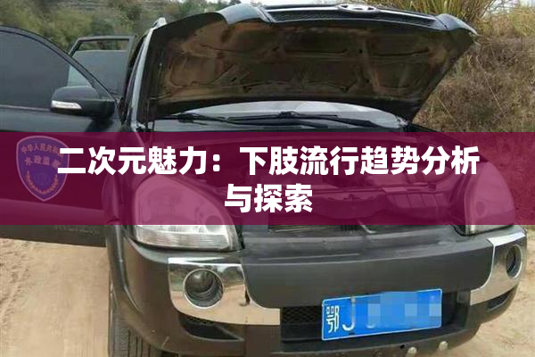 二次元魅力：下肢流行趋势分析与探索