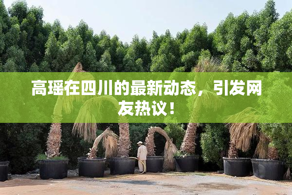 高瑶在四川的最新动态，引发网友热议！