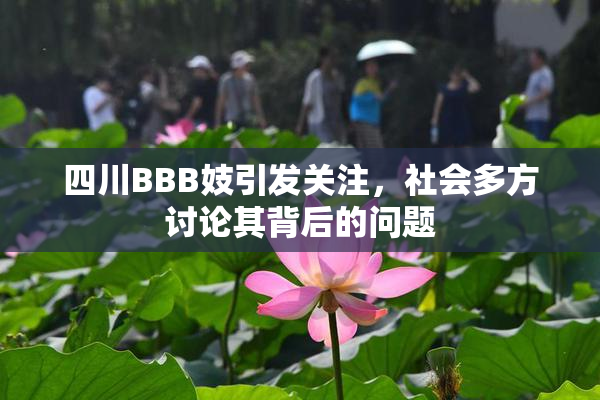 四川BBB妓引发关注，社会多方讨论其背后的问题