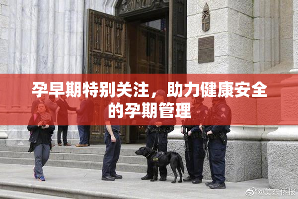 孕早期特别关注，助力健康安全的孕期管理