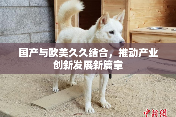 国产与欧美久久结合，推动产业创新发展新篇章