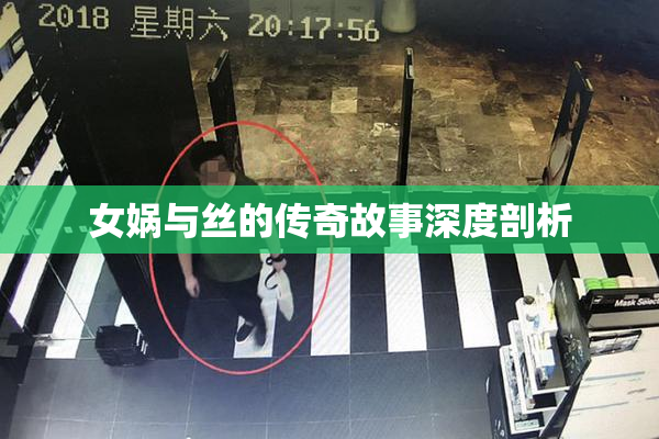 女娲与丝的传奇故事深度剖析