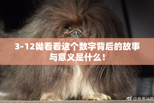 3–12呦看看这个数字背后的故事与意义是什么！