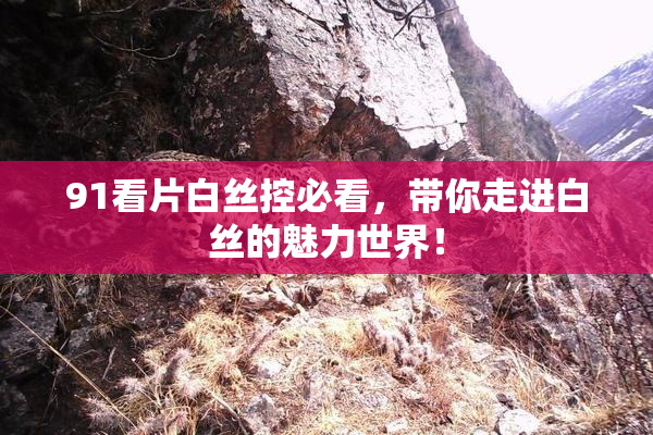 91看片白丝控必看，带你走进白丝的魅力世界！