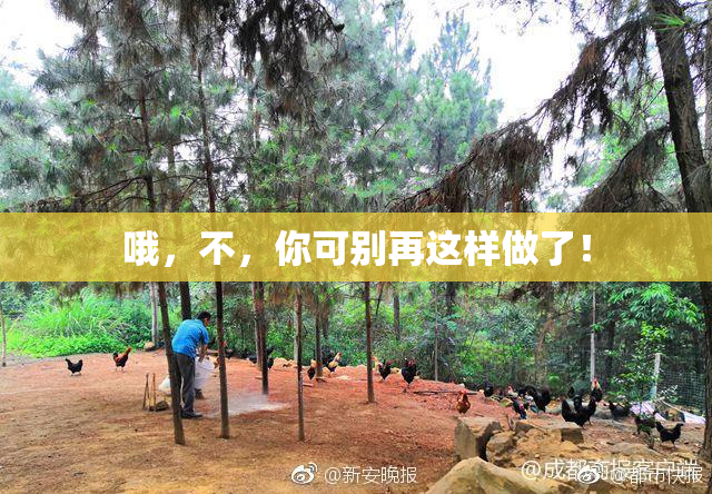 哦，不，你可别再这样做了！