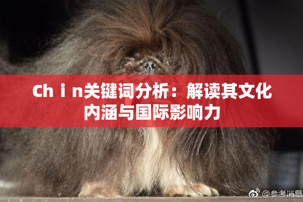 Chⅰn关键词分析：解读其文化内涵与国际影响力