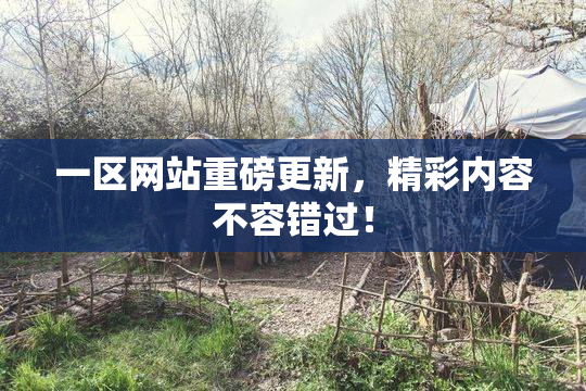 一区网站重磅更新，精彩内容不容错过！