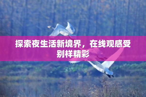 探索夜生活新境界，在线观感受别样精彩