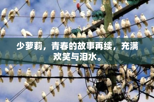 少萝莉，青春的故事再续，充满欢笑与泪水。