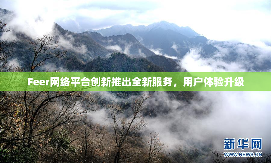 Feer网络平台创新推出全新服务，用户体验升级